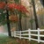 Glen Patterson MacPherson